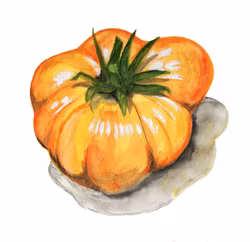 Bifftomat Yellow Brandywine