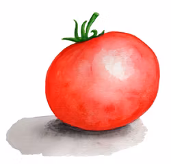 Dvärgtomat Mongolian Dwarf