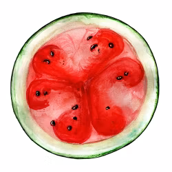 Melon Blacktail Mountain