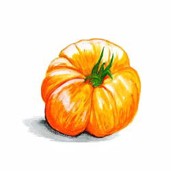 Bifftomat Plan 9 From Outer Space