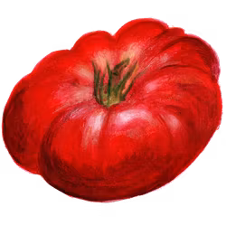 Bifftomat Brandywine