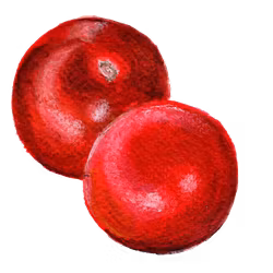 Tomat Black Ethiopian