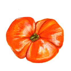 Dvärgtomat Cherokee Tiger Large Red