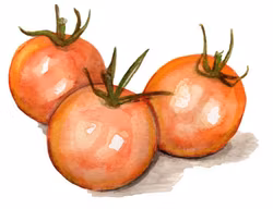 Körsbärstomat Goldiana