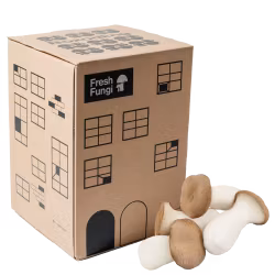 Kungsmussling - Svampbox