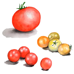 Tomat Microdwarf mix