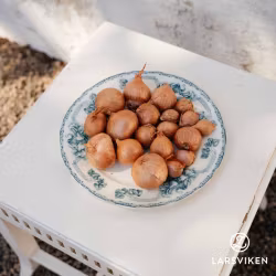 Biztro - schalottenlök 250g