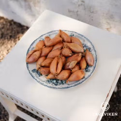 Longor - schalottenlök 250g