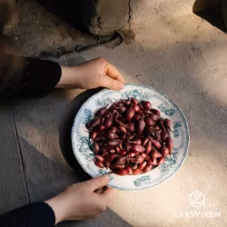 Red Baron- rödlök 250g