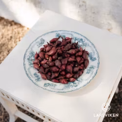 Red Light EKO - rödlök 250g