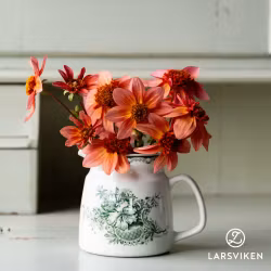 Totally Tangerine EKO