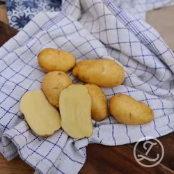 Linzer Delikatess  1kg