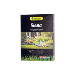 Gräsfrö Siesta 1kg