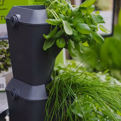 Minigarden vertikal grå