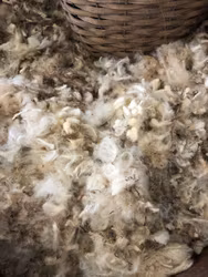 Lampaanvilla peittämiseen ja torjuntaan 3kg