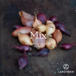 Mixpåse (Stuttgart, R. Baron & Biztro) 250g