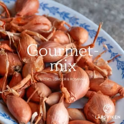 Gourmetpåse (Longor, Biztro & Rosanna) 250g