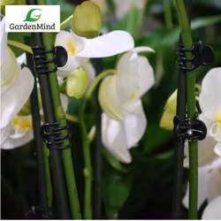 Orkidéklämma mörkgrön, 20 st