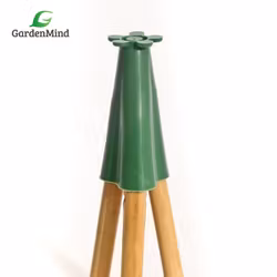 Topp-samlare för 3 pinnar, 5-pack