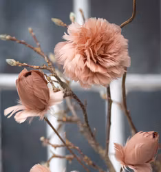 Fjäderblomma Med Clip Ø11cm