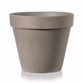 Lerkruka Gråbrun