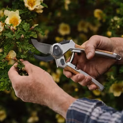 Bypass-sekatör KS Surecut Lite