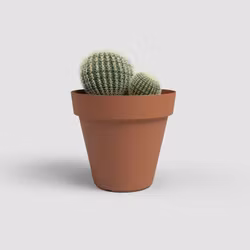 Kruka Capri Terracotta