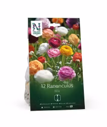 Ranunkel, Mixed