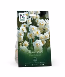 Narciss, 'Cheerfulness'