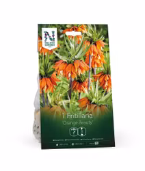Kejsarkrona, 'Orange Beauty'