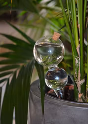 Bevattningsglas Bubbla - Semestervattnare