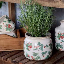 Jordgubbskruka Vintage L