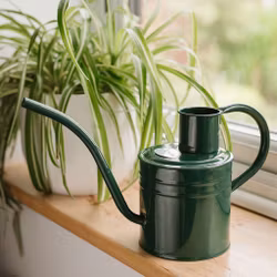 Kent & Stowe Vattenkanna 1L