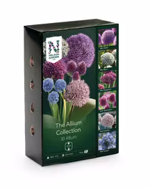 Selected Allium Collection