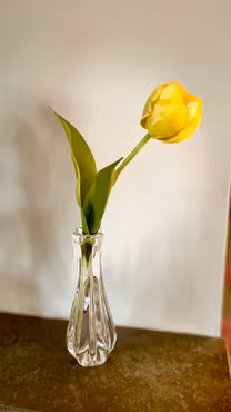 Tulpan gul 36 cm