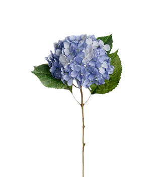 Hortensia blå 40 cm