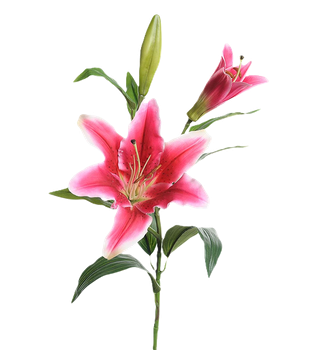 Lilja rosa 70 cm