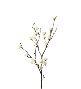 Blomkvist 50 cm