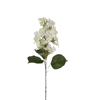 Syrénhortensia vit 80 cm