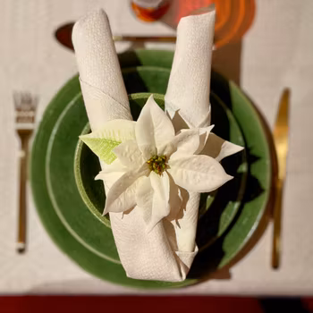 Vit julstjärna med clips