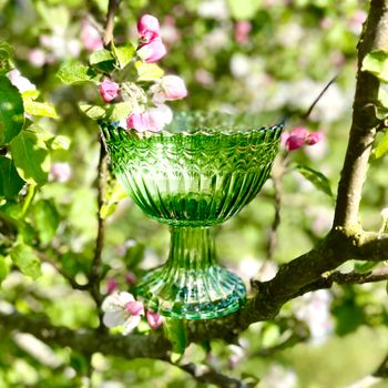 Grön skål av glas