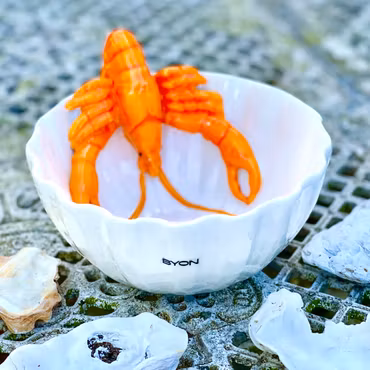 Skål ”Lobsti”