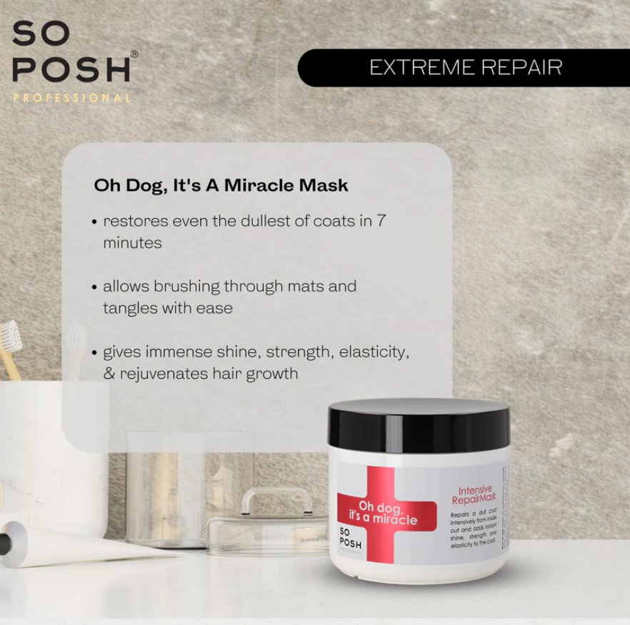 So Posh - Oh Dog, It’s a Miracle Mask