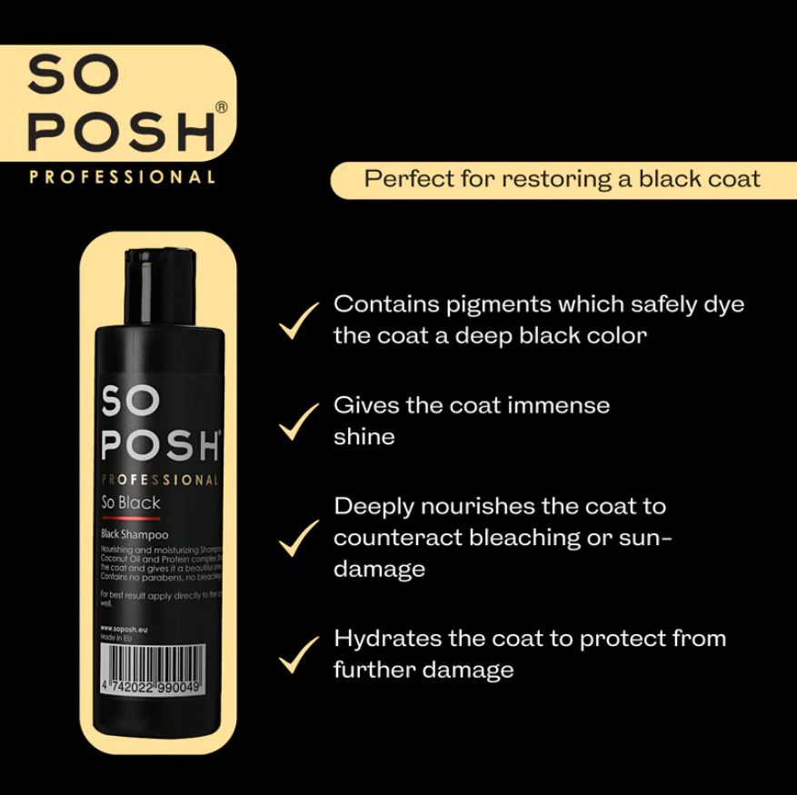 So Posh - So Black Shampoo