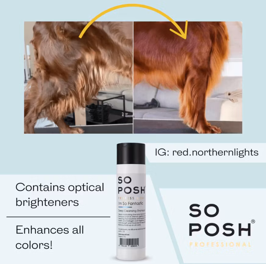 So Posh - I’m So Fantastic (Deep Moisturizing Conditioner)