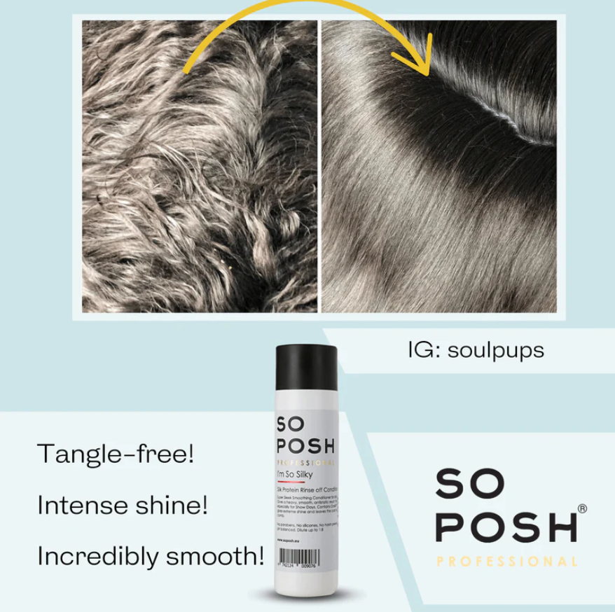 So Posh - I’m So Silky (Silk Protein Shampoo)
