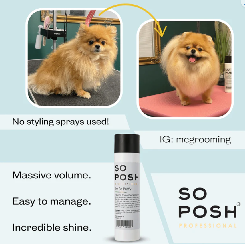 So Posh - I’m So Puffy (Volume Show Shampoo)
