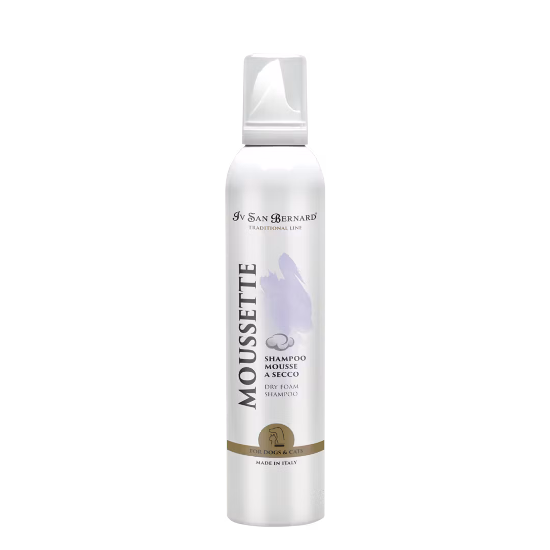 Iv San Bernard Traditional Mousette