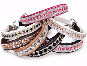 Glitterhalsband för mellanstora hundar