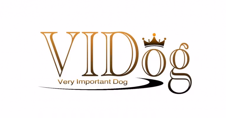 VIDog AB Org 559175-5938